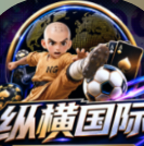 纵横国际