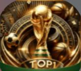 TOP1体育